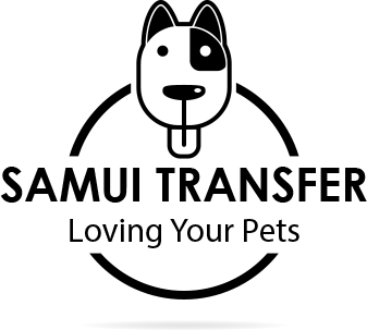 Samui Transfer