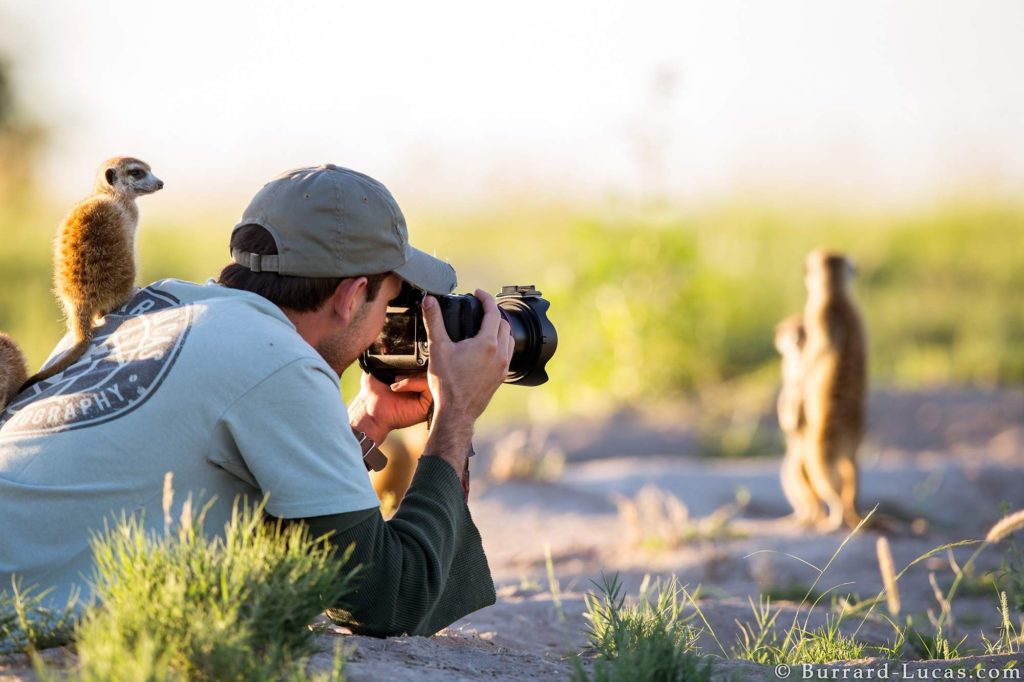 Unique Jobs Working with Animals